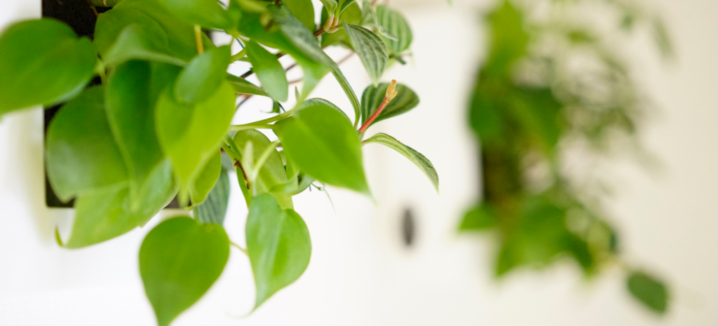 曜日貸しサロンアクセス