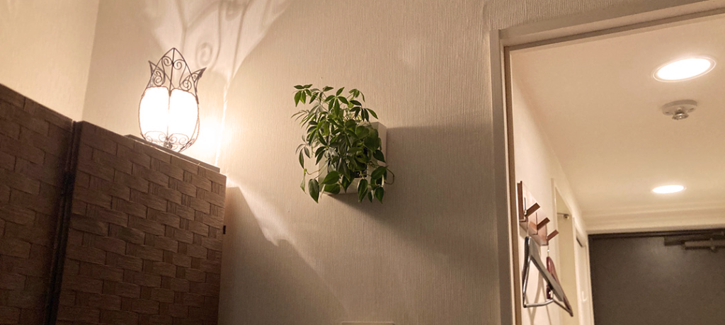 ロハスムーンの曜日貸しサロン