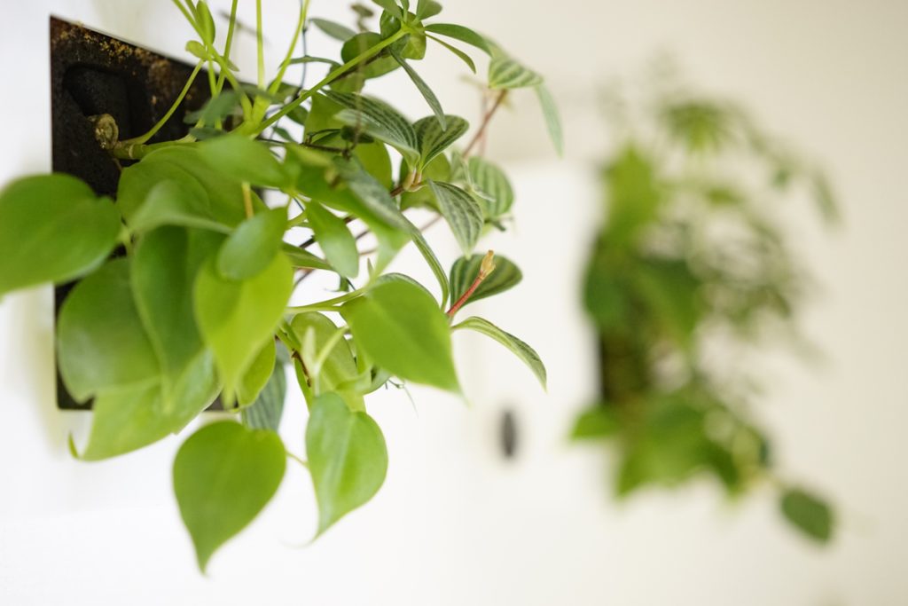 曜日貸しレンタルサロン